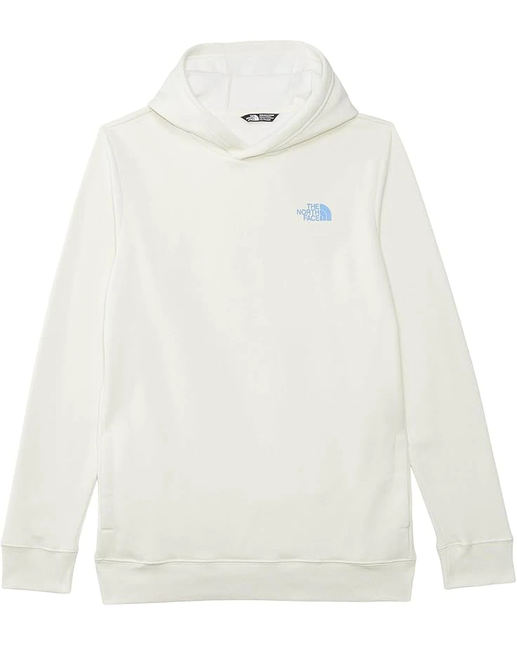 The North Face Kids Teen Box NSE Pullover Hoodie (Little Kids/Big Kids) | Hoodies & Sweatshirts 3 The North Face Kids Teen Box NSE Pullover Hoodie (Little Kids/Big Kids) | Hoodies & Sweatshirts - Image 3