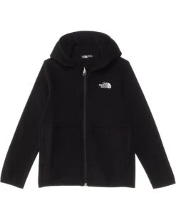 The North Face Kids Glacier Full Zip Hoodie (Toddler) | Coats & Outerwear -The Shoe Wardrobe 51EJjDR sHL. AC SR736920