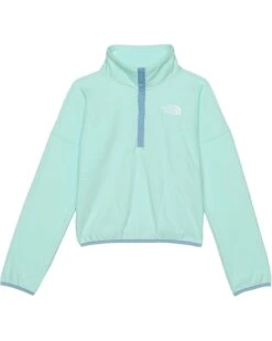 The North Face Kids Glacier Pullover (Little Kids/Big Kids) | Coats & Outerwear