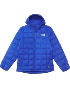 The North Face Kids ThermoBall Hooded Jacket (Little Kid/Big Kid) | Coats & Outerwear 6 The North Face Kids ThermoBall Hooded Jacket (Little Kid/Big Kid) | Coats & Outerwear -The Shoe Wardrobe 610cCvD1G1L. AC SR736920