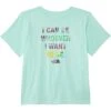 The North Face Kids Short Sleeve Graphic Tee (Little Kids/Big Kids) | Shirts & Tops