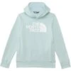 The North Face Kids Teen Half Dome Camp Fleece Pullover Hoodie (Little Kid/Big Kid) | Hoodies & Sweatshirts