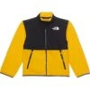 The North Face Kids Teen Denali Jacket (Little Kid/Big Kid) | Coats & Outerwear