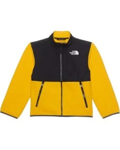The North Face Kids Denali Jacket (Toddler) | Coats & Outerwear -The Shoe Wardrobe 61P3epJN98L. AC SR736920