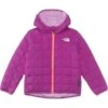 The North Face Kids Reversible ThermoBall™ Hooded Jacket (Toddler) | Coats & Outerwear