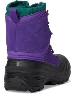 The North Face Kids Alpenglow V Waterproof (Youth) | Boots -The Shoe Wardrobe 61SP0tA5s0L. AC SR736920