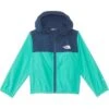 The North Face Kids Never Stop Hooded WindWall™ Jacket (Toddler) | Coats & Outerwear