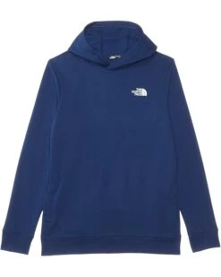 The North Face Kids Teen Box NSE Pullover Hoodie (Little Kids/Big Kids) | Hoodies & Sweatshirts