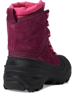 The North Face Kids Alpenglow V Waterproof (Toddler/Little Kid/Big Kid) | Boots 12 The North Face Kids Alpenglow V Waterproof (Toddler/Little Kid/Big Kid) | Boots -The Shoe Wardrobe 61bKuWSSEbL. AC SR736920