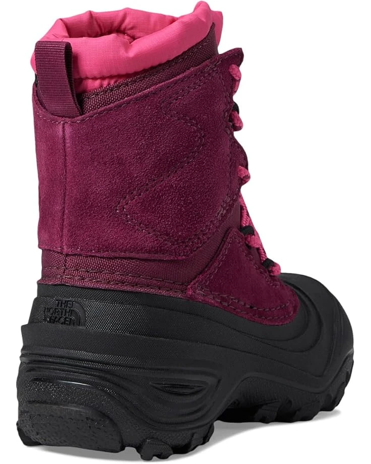 The North Face Kids Alpenglow V Waterproof (Toddler/Little Kid/Big Kid) | Boots 5 The North Face Kids Alpenglow V Waterproof (Toddler/Little Kid/Big Kid) | Boots - Image 5