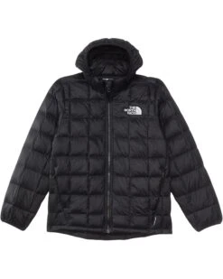 The North Face Kids ThermoBall Hooded Jacket (Little Kid/Big Kid) | Coats & Outerwear