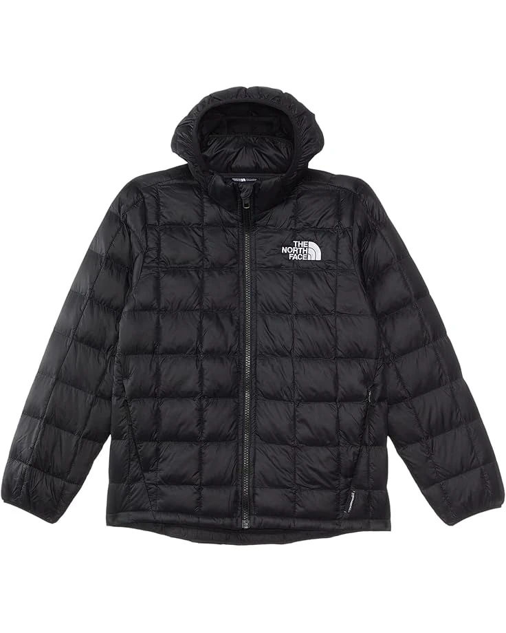 The North Face Kids ThermoBall Hooded Jacket (Little Kid/Big Kid) | Coats & Outerwear 1 The North Face Kids ThermoBall Hooded Jacket (Little Kid/Big Kid) | Coats & Outerwear