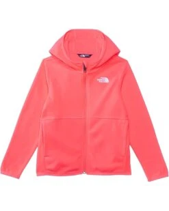 The North Face Kids Glacier Full Zip Hoodie (Toddler) | Coats & Outerwear