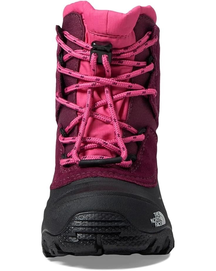 The North Face Kids Alpenglow V Waterproof (Toddler/Little Kid/Big Kid) | Boots 2 The North Face Kids Alpenglow V Waterproof (Toddler/Little Kid/Big Kid) | Boots - Image 2