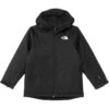 The North Face Kids Freedom Insulated Jacket (Little Kid/Big Kid) | Coats & Outerwear