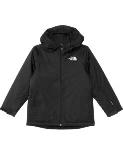 The North Face Kids Freedom Insulated Jacket (Little Kid/Big Kid) | Coats & Outerwear
