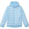 The North Face Kids ThermoBall Hooded Jacket (Little Kid/Big Kid) | Coats & Outerwear