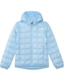 The North Face Kids ThermoBall Hooded Jacket (Little Kid/Big Kid) | Coats & Outerwear
