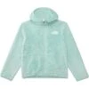 The North Face Kids Teen Campshire Full Zip Hoodie (Little Kid/Big Kid) | Coats & Outerwear