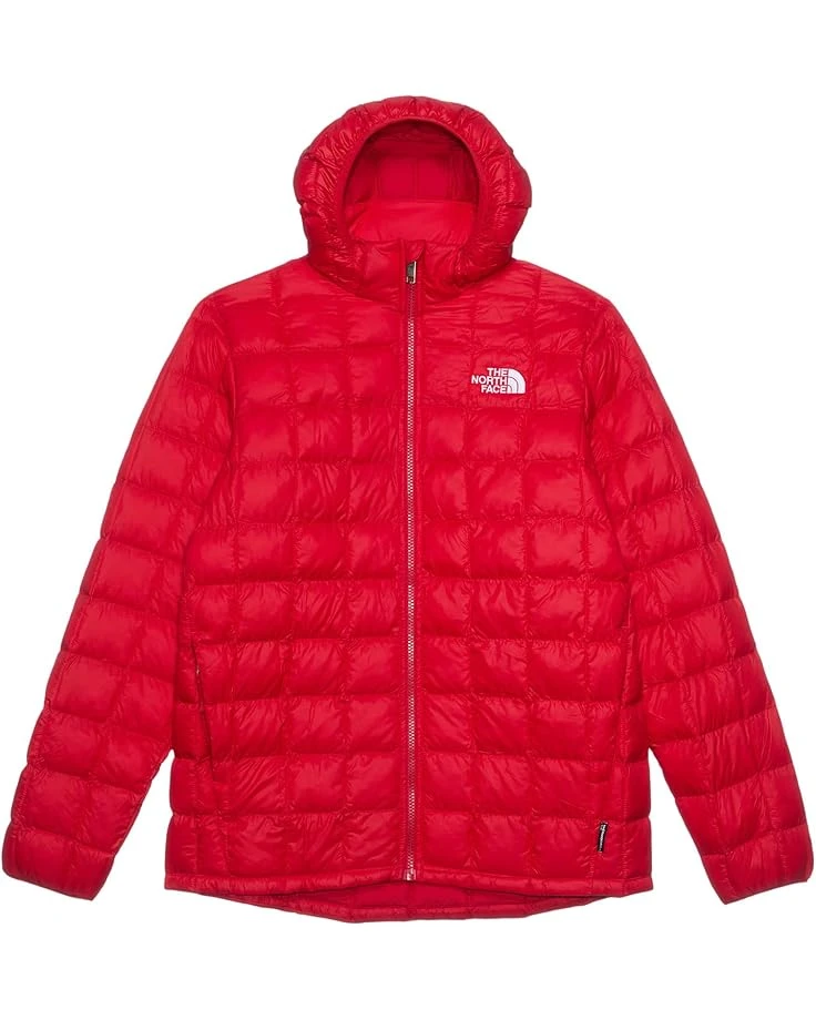 The North Face Kids ThermoBall Hooded Jacket (Little Kid/Big Kid) | Coats & Outerwear 4 The North Face Kids ThermoBall Hooded Jacket (Little Kid/Big Kid) | Coats & Outerwear - Image 4