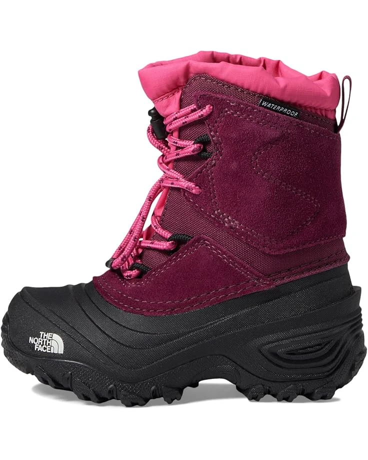 The North Face Kids Alpenglow V Waterproof (Toddler/Little Kid/Big Kid) | Boots 4 The North Face Kids Alpenglow V Waterproof (Toddler/Little Kid/Big Kid) | Boots - Image 4