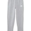 The North Face Kids Teen Camp Fleece Jogger (Little Kid/Big Kid) | Pants