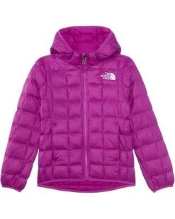 The North Face Kids ThermoBall Hooded Jacket (Little Kid/Big Kid) | Coats & Outerwear -The Shoe Wardrobe 71XbGcZd55L. AC SR736920