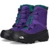 The North Face Kids Alpenglow V Waterproof (Youth) | Boots