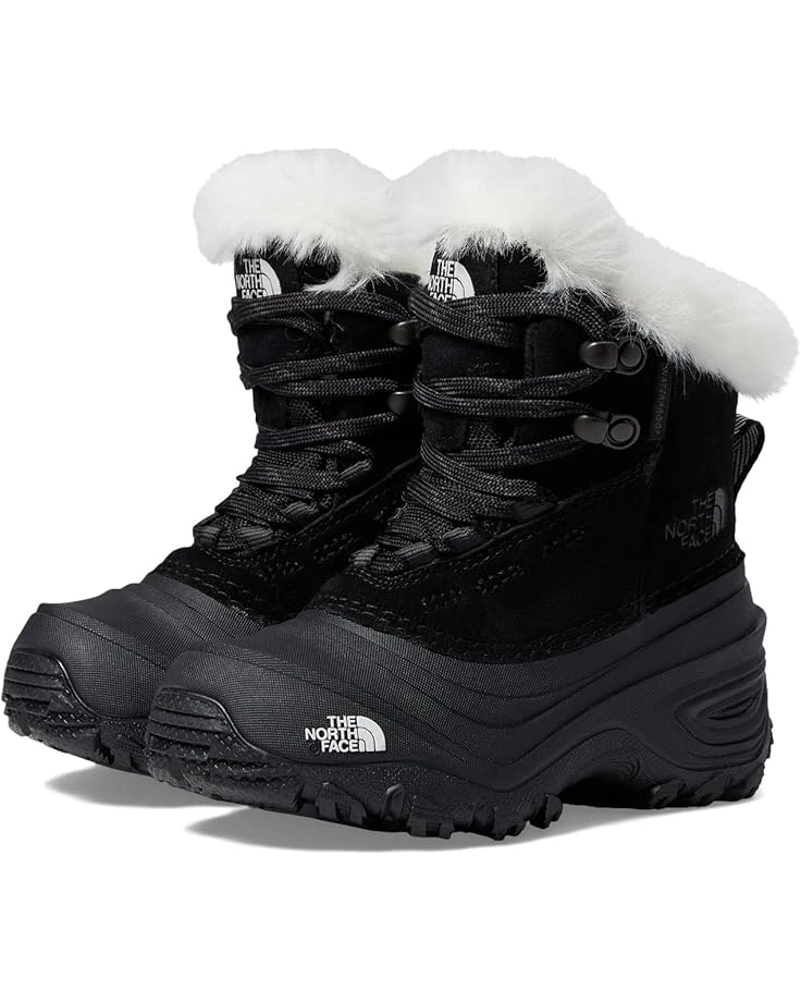 The North Face Kids Shellista V Lace WP (Toddler/Little Kid/Big Kid) | Boots 7 The North Face Kids Shellista V Lace WP (Toddler/Little Kid/Big Kid) | Boots - Image 7
