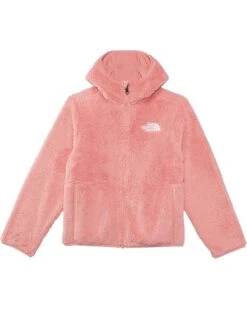The North Face Kids Teen Campshire Full Zip Hoodie (Little Kid/Big Kid) | Coats & Outerwear -The Shoe Wardrobe 71iy sPmCDL. AC SR736920