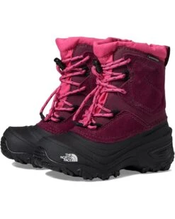 The North Face Kids Alpenglow V Waterproof (Toddler/Little Kid/Big Kid) | Boots