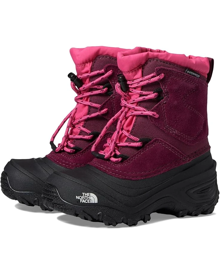 The North Face Kids Alpenglow V Waterproof (Toddler/Little Kid/Big Kid) | Boots 1 The North Face Kids Alpenglow V Waterproof (Toddler/Little Kid/Big Kid) | Boots